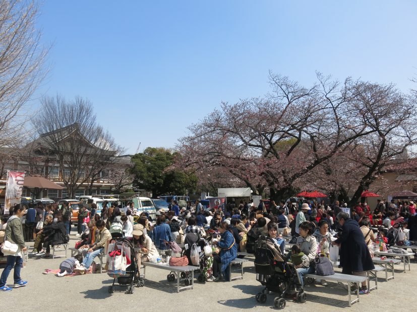 桜とお寺に囲まれてお散歩しよう。3月開催「東別院手づくり朝市」に行ってきました - IMG 4428 827x620