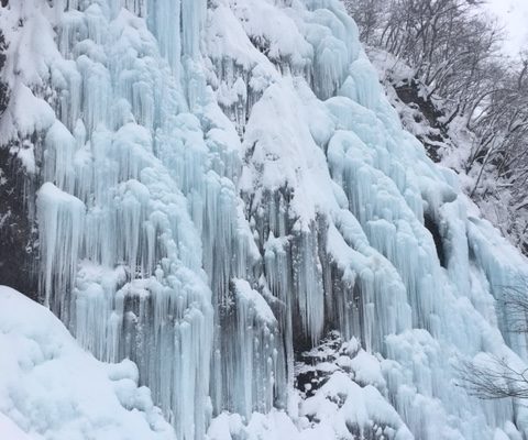 冬季限定「氷の渓谷」を見逃すな！　見どころ満載『飛騨大鍾乳洞』