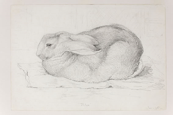 世界一の愛されウサギ『ピーターラビット展』9/16より名古屋市博物館で開催 - 02