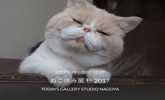 「かわいい」が止まらない！『ねこ休み展 秋2017』名古屋・新栄での開催が決定