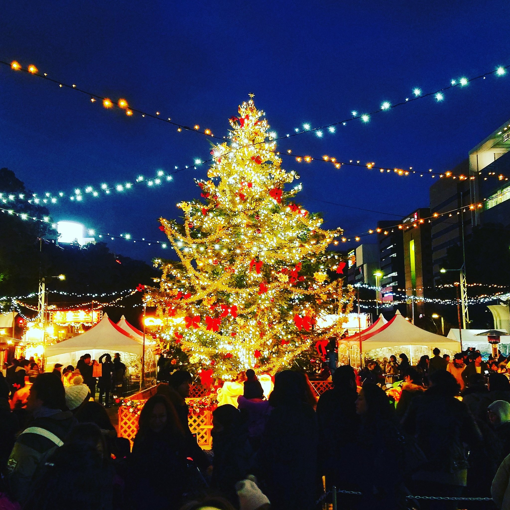 今年で6回目 ヨーロッパ伝統クリスマスマーケットが久屋大通で開催 Identity 名古屋