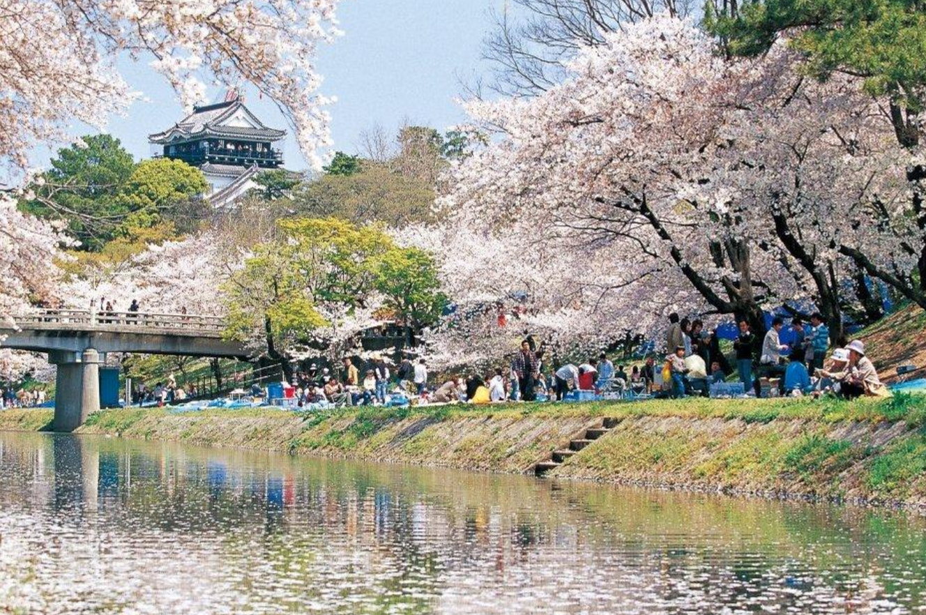 美しい桜で春を満喫。名古屋から行けるお花見スポット6選【2020】 - 75bdce63fa59079098c4d58755afa9fe