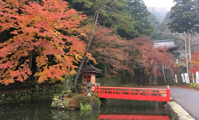 お寺の紅葉とピンクカレーを満喫！秋の「伊自良湖」はデートにもおすすめ