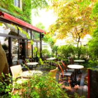 まるで都心のオアシス。栄・矢場町の緑溢れるカフェ「air café（エール カフェ）」でランチとスイーツはいかが