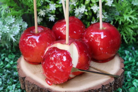 “パリンッシャキ”食感の本格りんご飴「代官山キャンディーアップル」が岡崎、星ヶ丘に期間限定出店